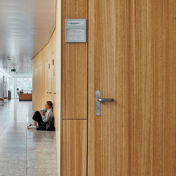 Veneer Eucalyptus, Technical High School Basel