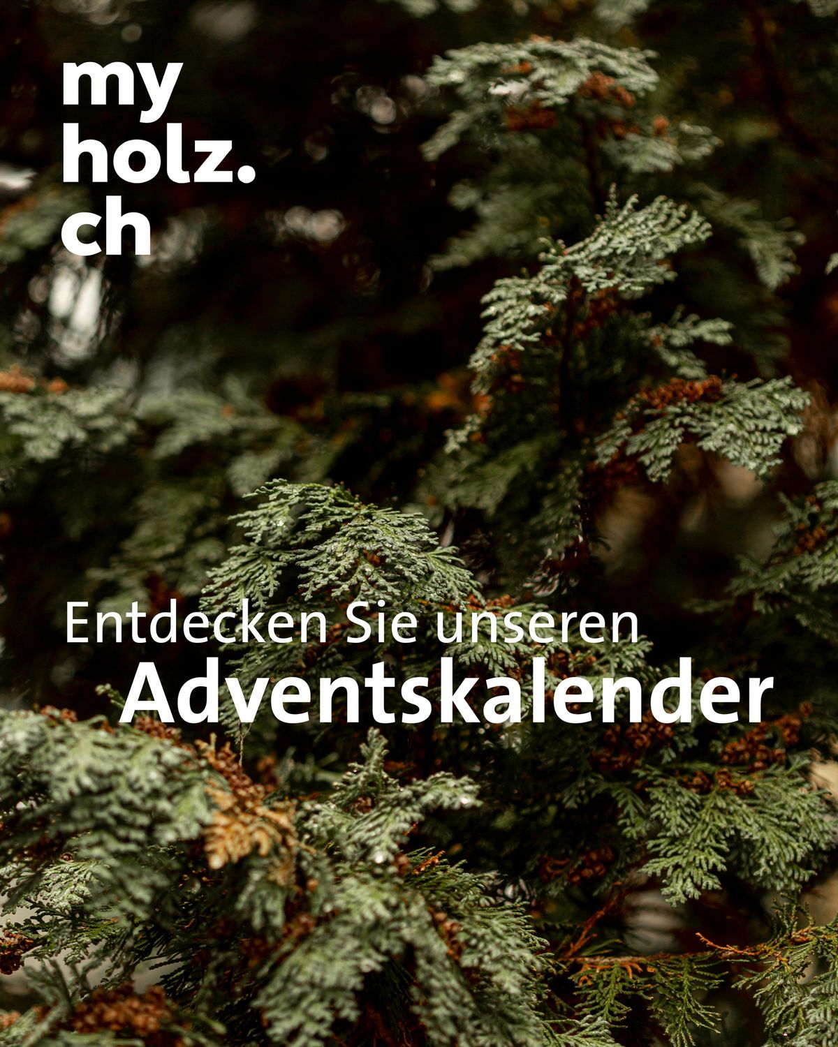 Adventskalender myHolz Partner