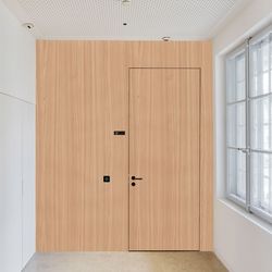 Türe Furnier Ulme