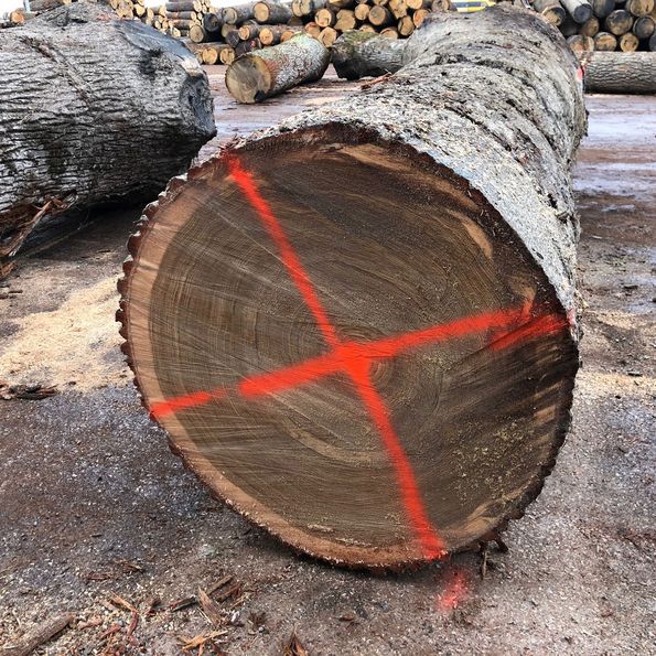 Tree selection for veneer production