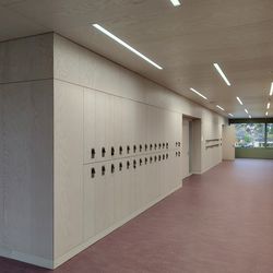 Rotary cut ash veneer