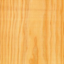 Veneer Douglas Fir