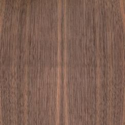 Veneer Walnut american