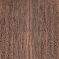 Veneer Walnut american