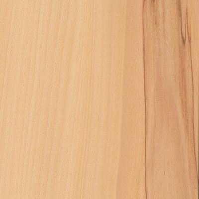 Veneer Beech with brown heart