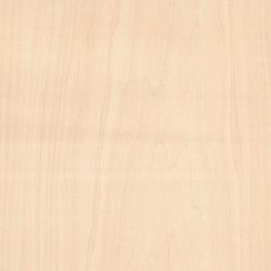 Veneer Sycamore