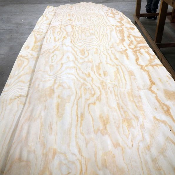 Veneer Maritime pine peeled on stock Roser AG