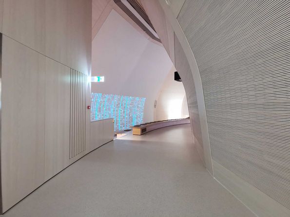Acoustically effective panels made of fir wood