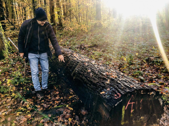 Roser AG buying wood in the forest Quality wood purchasing Roser AG