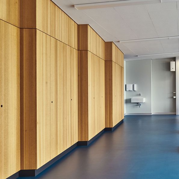 Veneer Eucalyptus, Technical High School Basel