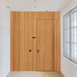 Layons for veneed door in larch Structura Veneer door larch Structura