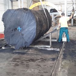 Edelfurnier Mooreiche von der Roser AG Antikes Eichenfurnier