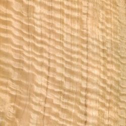 Veneer Eucalyptus figured