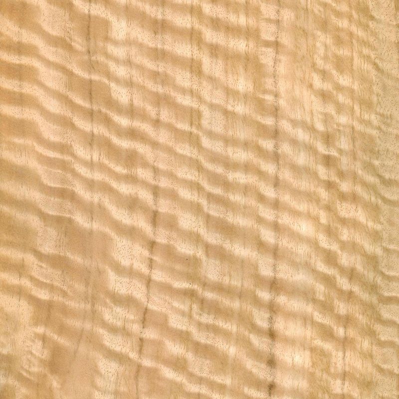 Veneer Eucalyptus figured