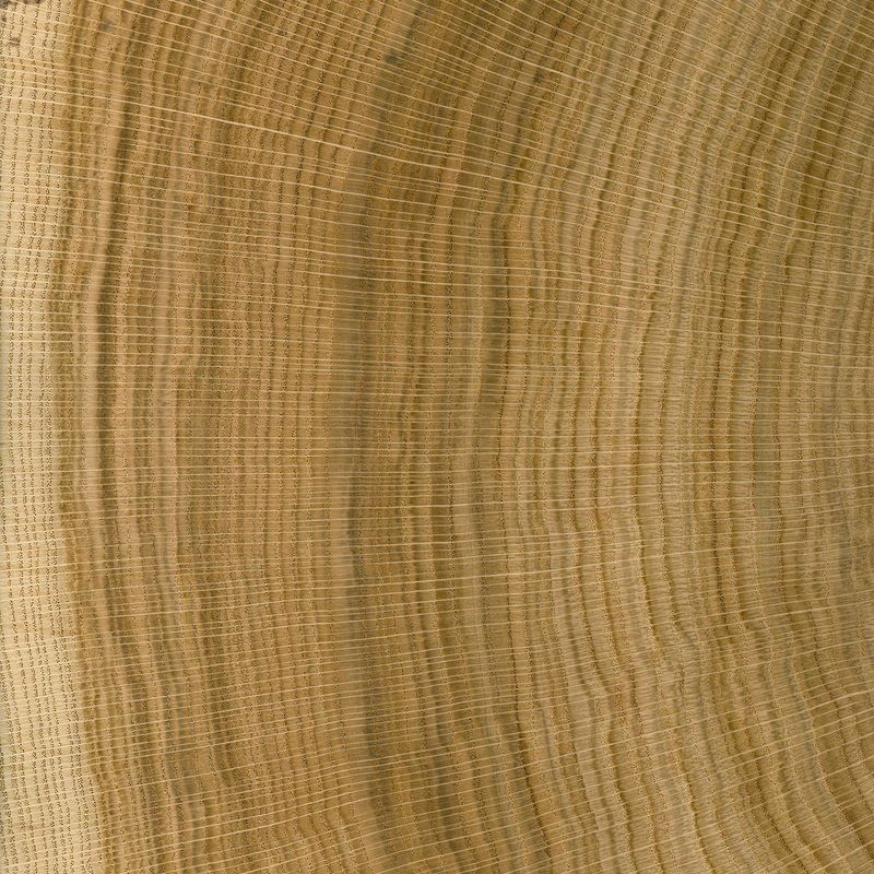 Veneer Express Layons Brainwood Half Disks