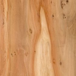 Veneer Yew