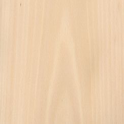 Veneer Beech white