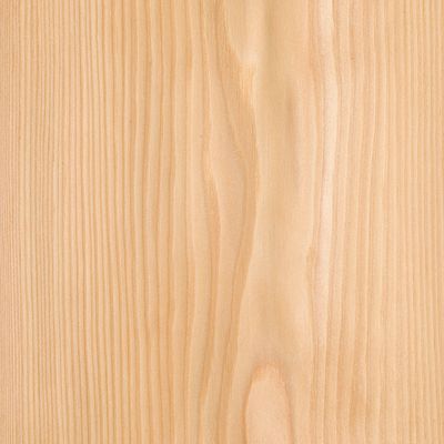 Veneer Larch