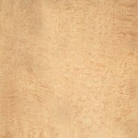 Holzart Quilted Maple