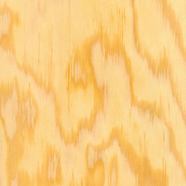 Veneer Maritime pine peeled