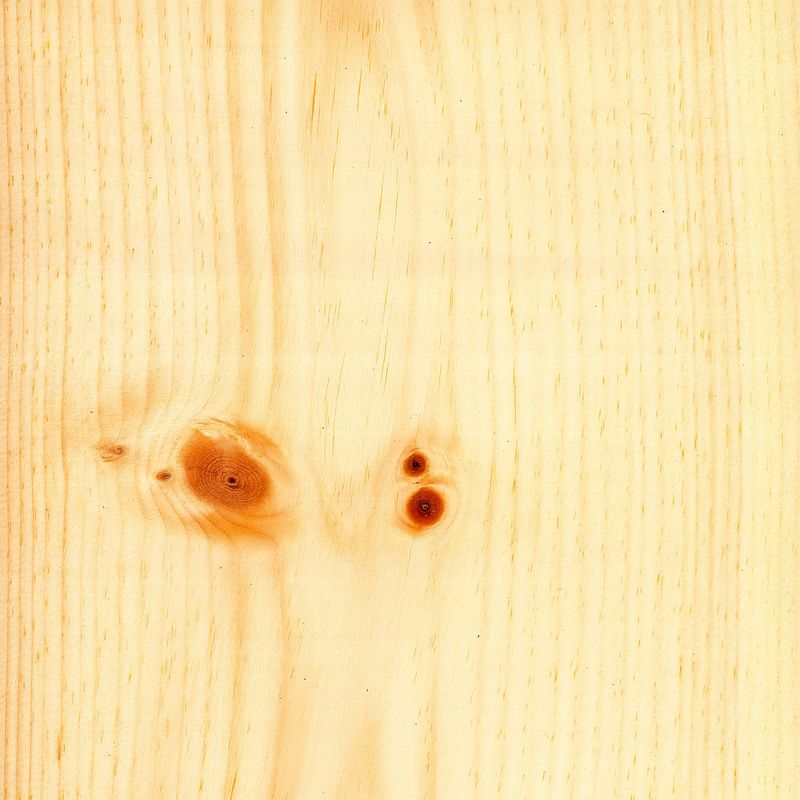 Veneer Pine, eastern white pine