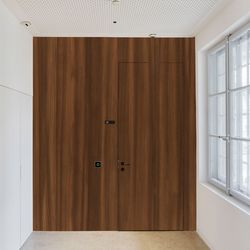 Türe Furnier Lärche geräuchert