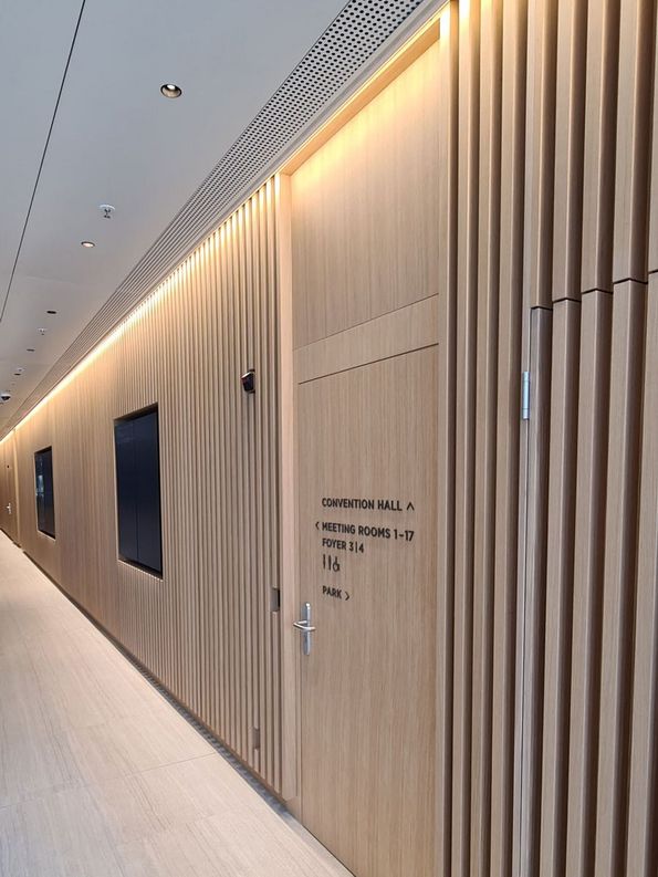Veneer design architecture, The Circle, Zurich