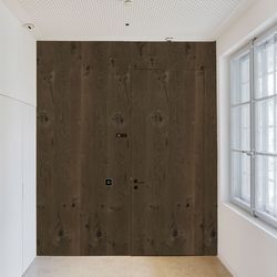 Türe Furnier Eiche Rustic Stone