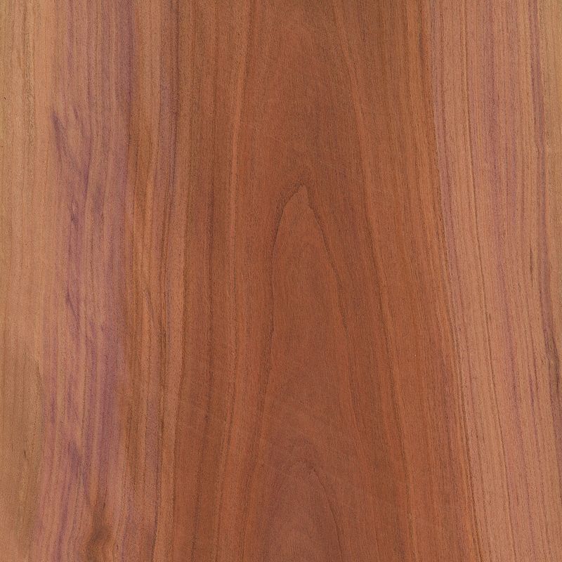 Veneer Plum Tree