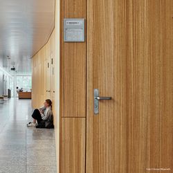 Wood species Eucalyptus, schoolroom cladding, corridor