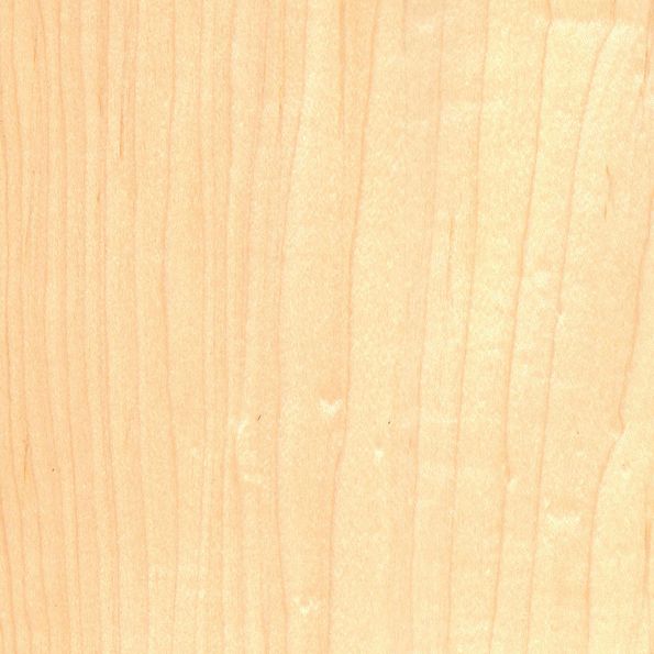 Veneer Maple peeled