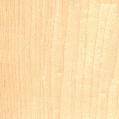 Veneer Maple american peeled