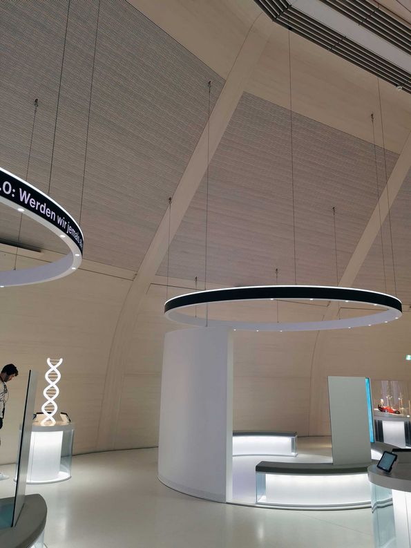 Glazed fir veneer for the Novartis visitor exhibition