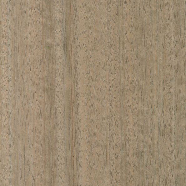 Holzart Eukalyptus Stone / grau