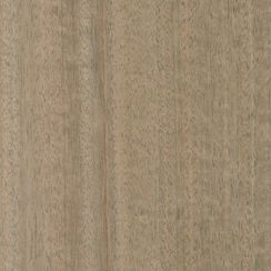 Wood species Eucalyptus Stone