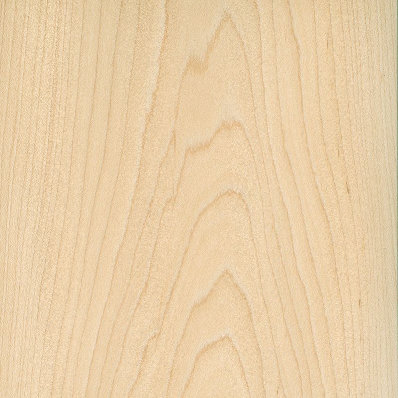 Veneer Maple american