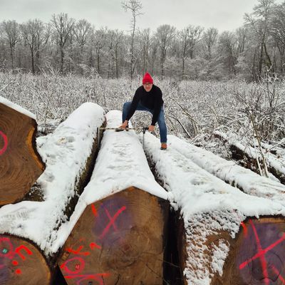 Tobias Scherg bei der Rundholzsaison 2026 Holzeinkauf im Wald