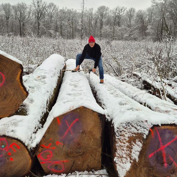 Timber procurement for Roser AG’s veneer production From the forest to veneer