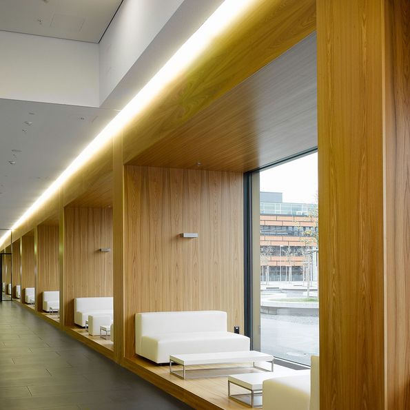 Veneer Elm, Research Center Syngenta, Stein