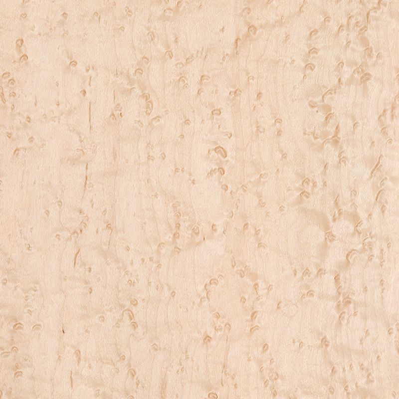 Veneer Bird's eye Maple peeled