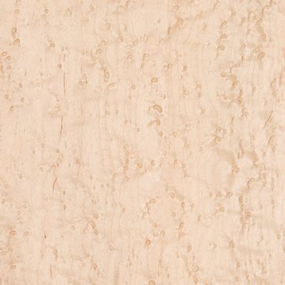 Veneer Bird's eye Maple peeled