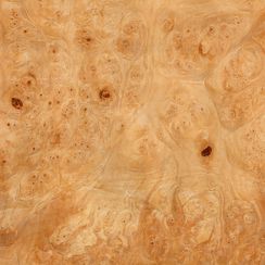 Veneer Maple Burl