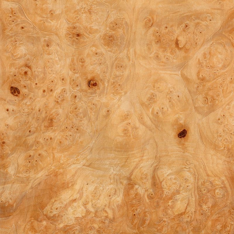 Veneer Maple Burl