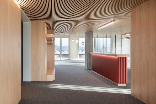 Acoustic panels in offices