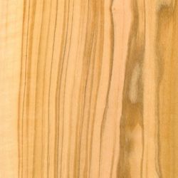 Veneer Olive