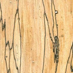 Veneer Truffle beech