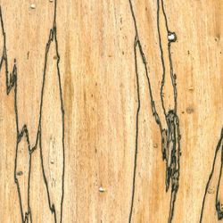 Veneer Truffle beech