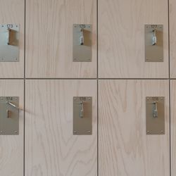 Ash veneer wall cladding