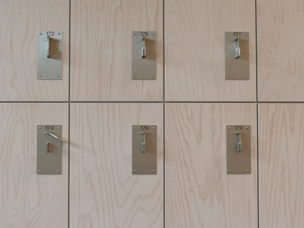 Geschälte Esche prägt das Bild der Schule