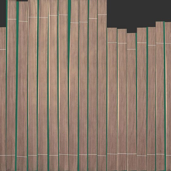 Images and measurements american Walnut rift